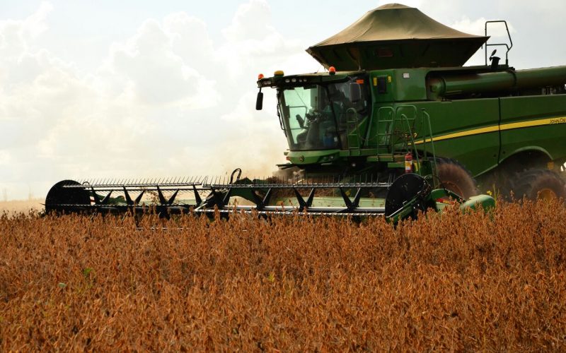 Com 6 milhões de toneladas de grãos, Maranhão é destaque nacional na produção agrícola. Foto: Nael Reis