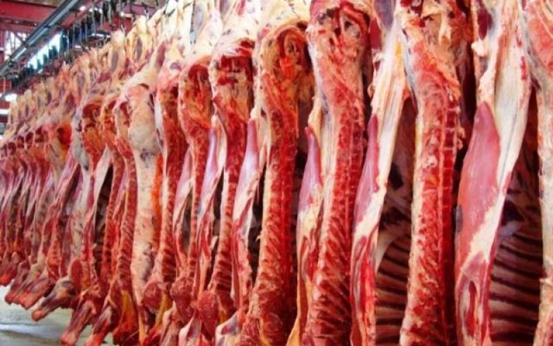 vaca louca suspende exportações de carne