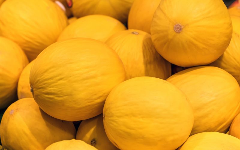 yellow sweet melons as a texture